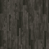 4035  Black Elm