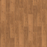 4057 Saffron Oak