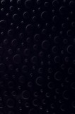 N 004