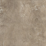 9025  Icelandic Oak