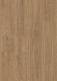9823   English Oak
