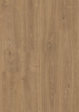 9823   English Oak