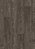 9837  Charcoal Pine