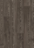 9837  Charcoal Pine