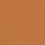 9848 Burnt Orange