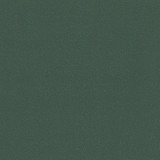 9851 Teal