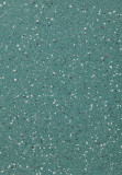 XLI 22 52 TARRAGON