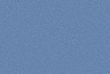 AFP282004 BLUEBELL