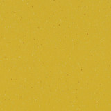 D 18