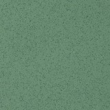 CX 20 13 LEAF GREEN